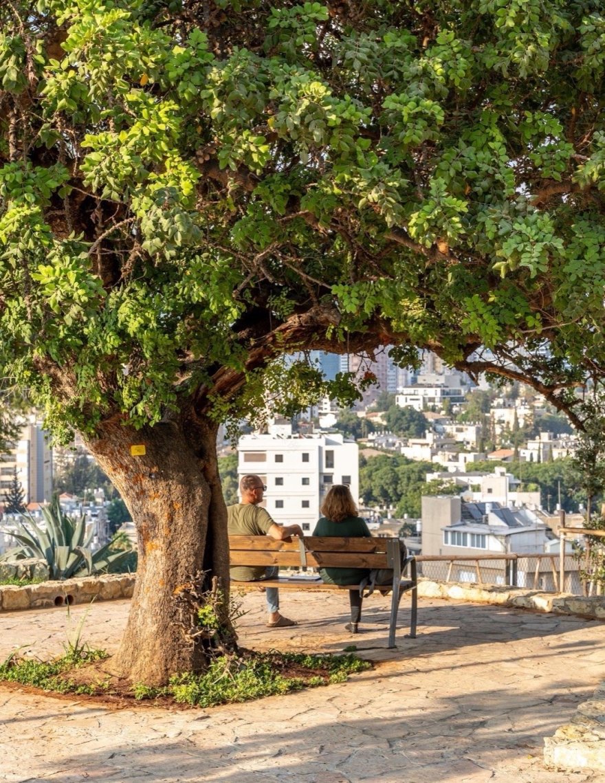 以色列绍尔公园丨Richard Kauffmann,摩西·克瓦什尼-24