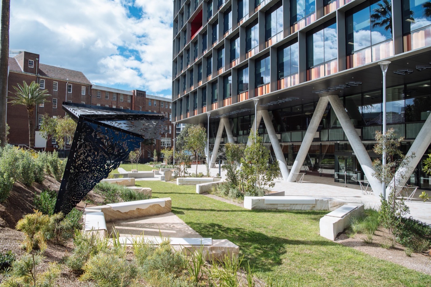 悉尼 St Leonards 健康组织迁址丨澳大利亚悉尼丨Arcadia Landscape Architecture-12