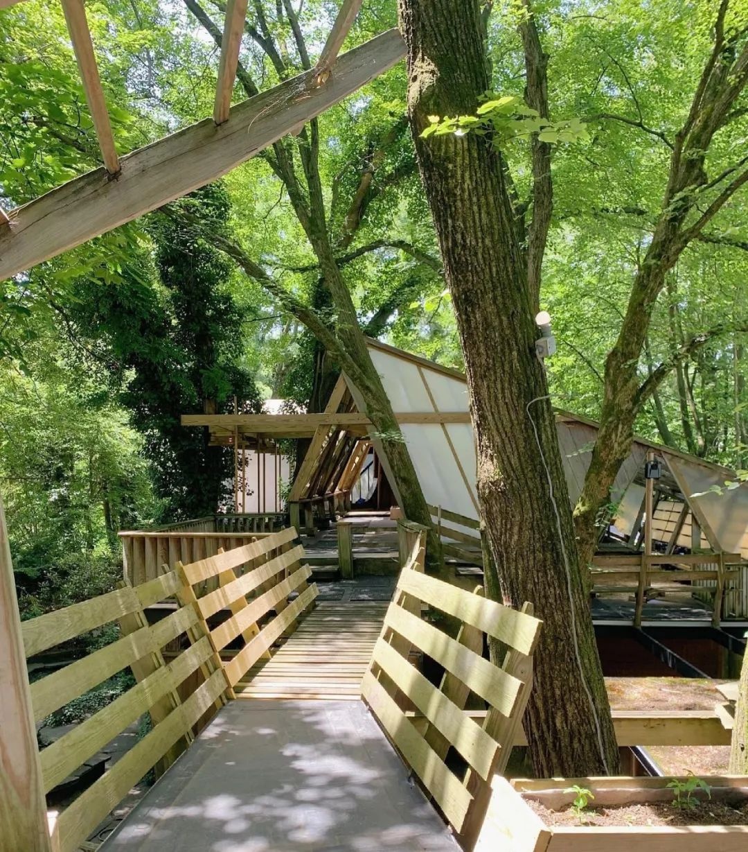 里奇伍德的房子-39