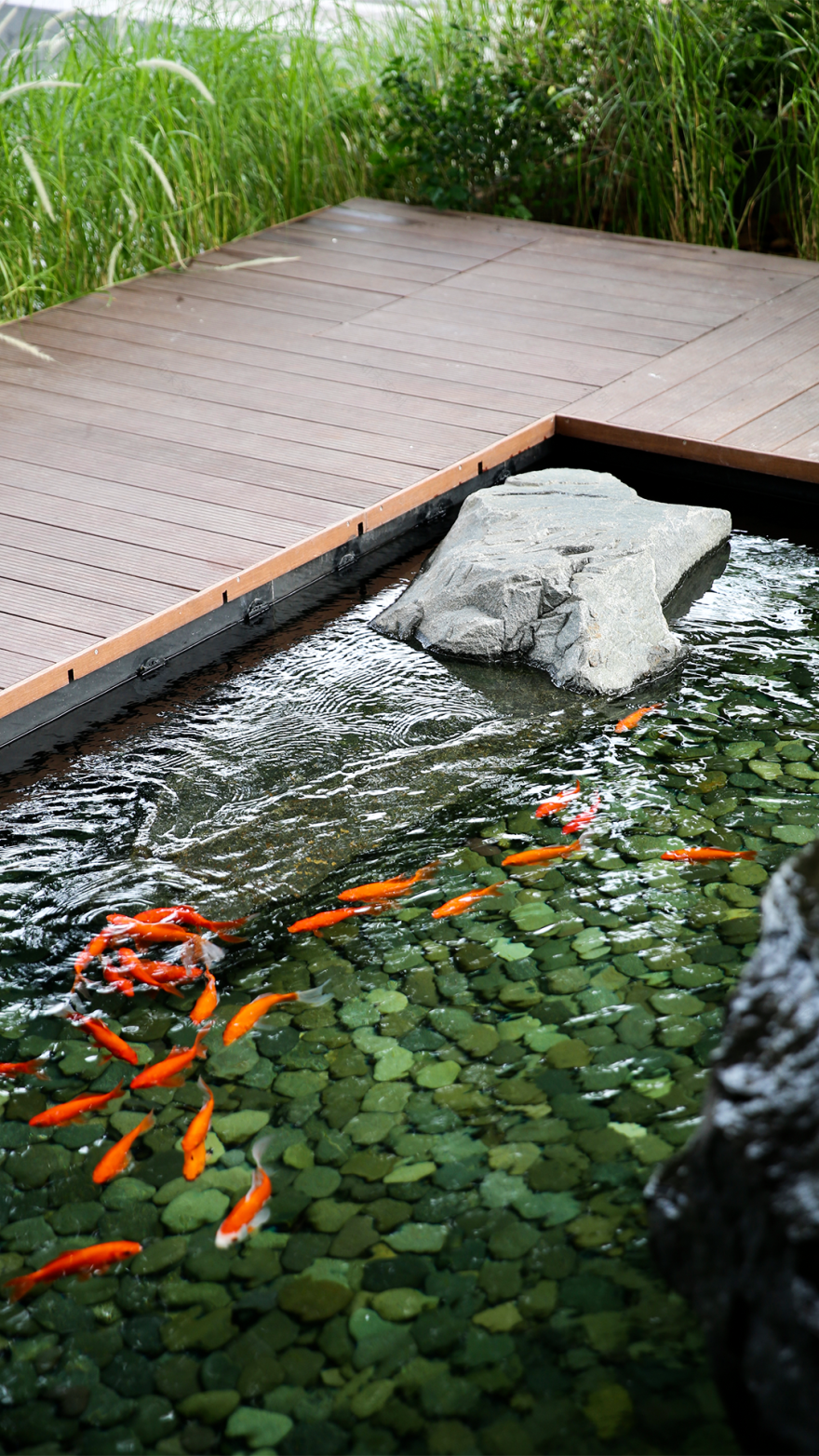 鹭鼎会·私房菜丨中国厦门丨巨子设计-22