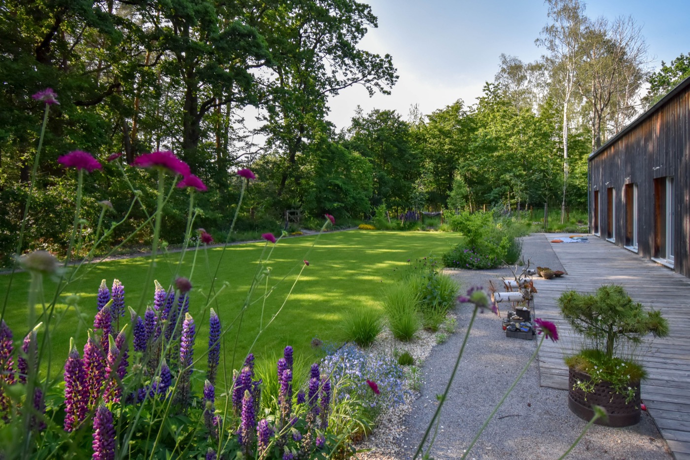 自然之境 · 现代乡村家庭花园-12