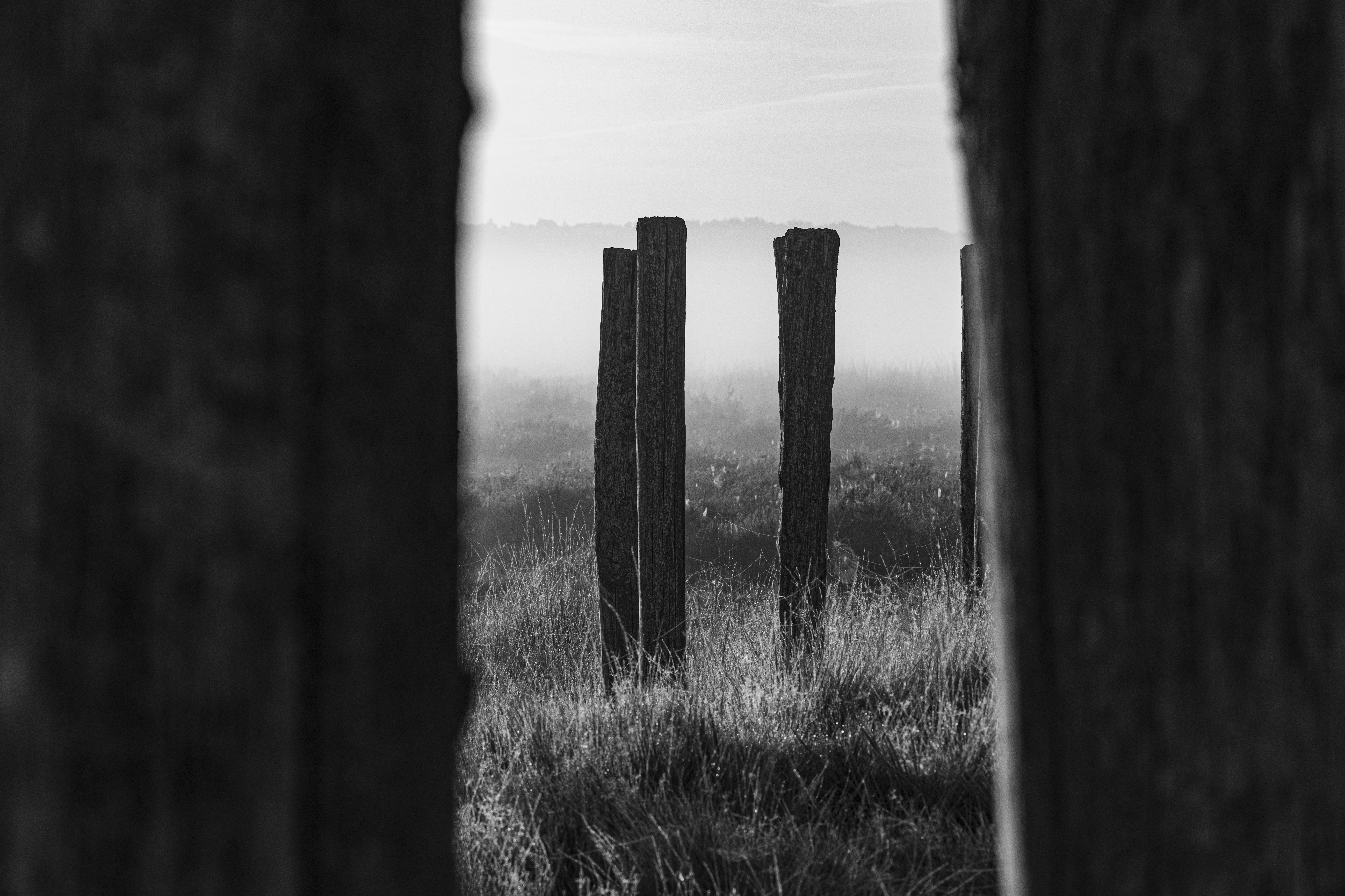 Regte Heide 遗址保护丨荷兰蒂尔堡-3