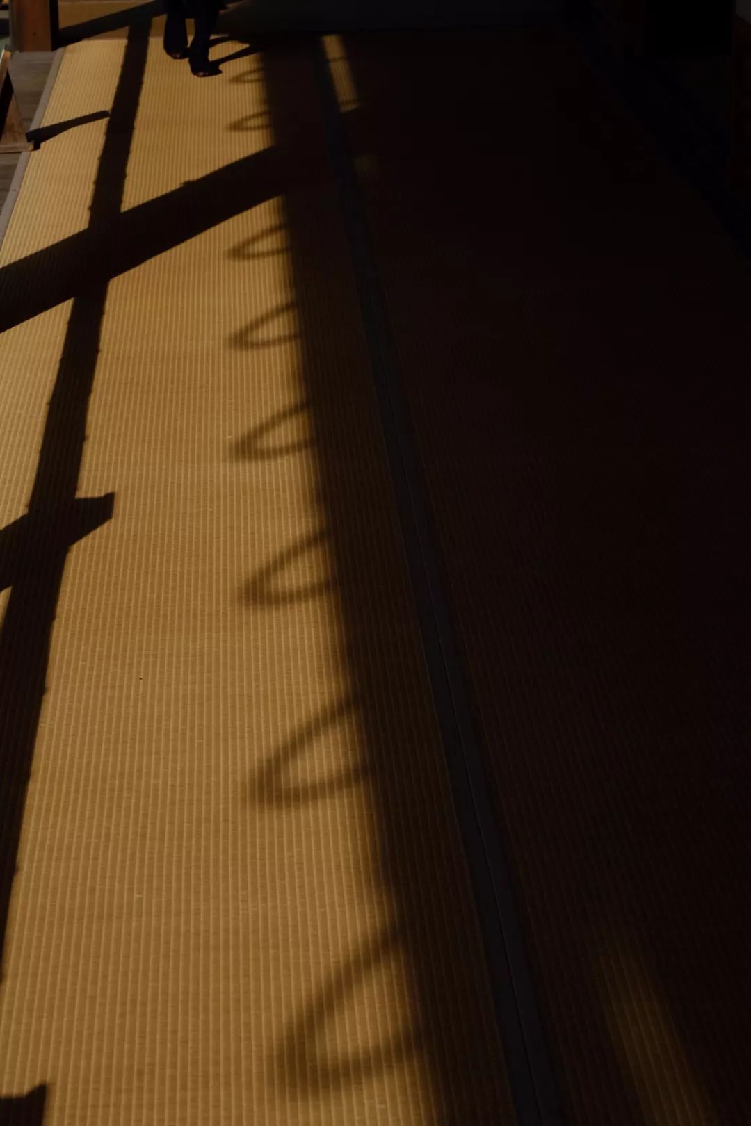 谢柯 | 自由生长的空间诗人-107