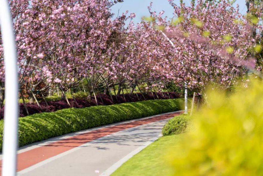 设计改变城市DNA | 上海之窗 · 智慧科学城-74