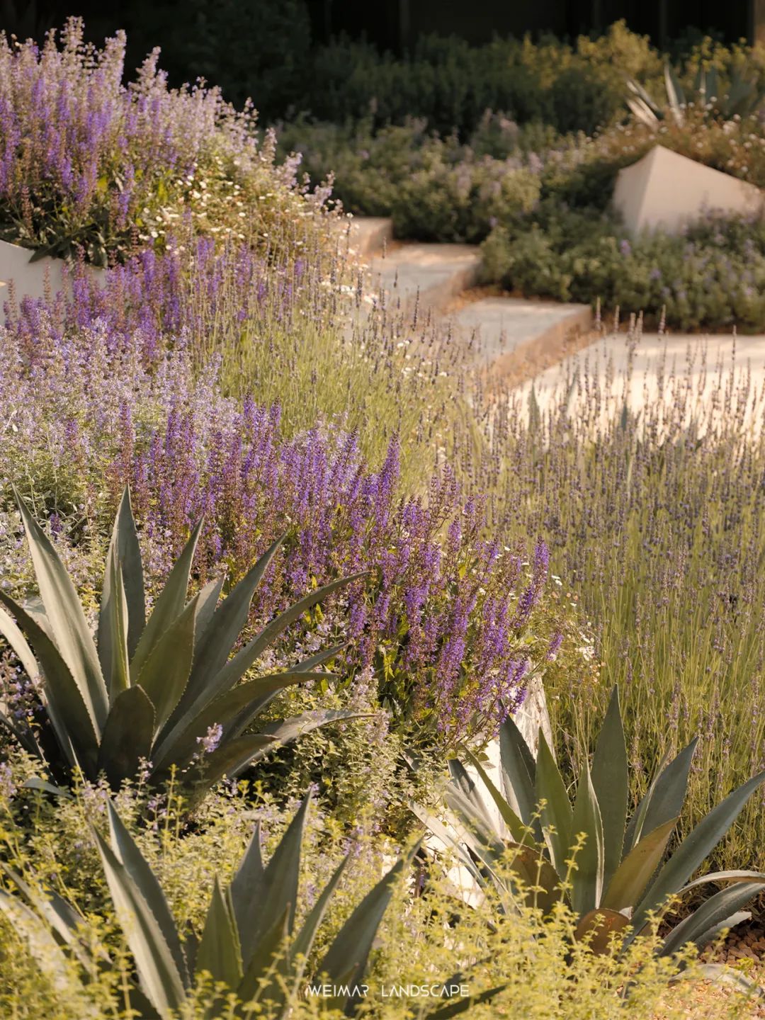 天琴澄音|万华麓湖C16样板岛-169