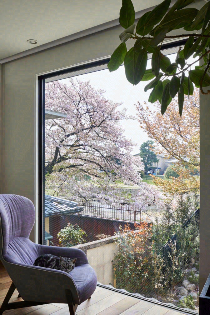 Project 6 - brownbag-4