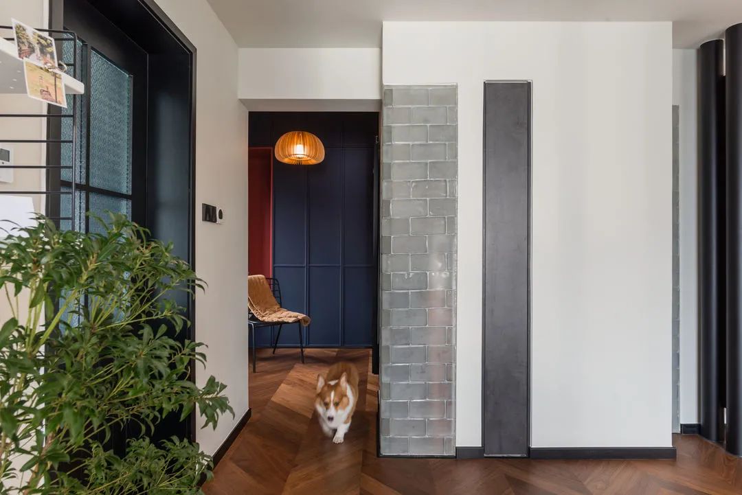 现代 80㎡一人一狗的小户型丨中国-24