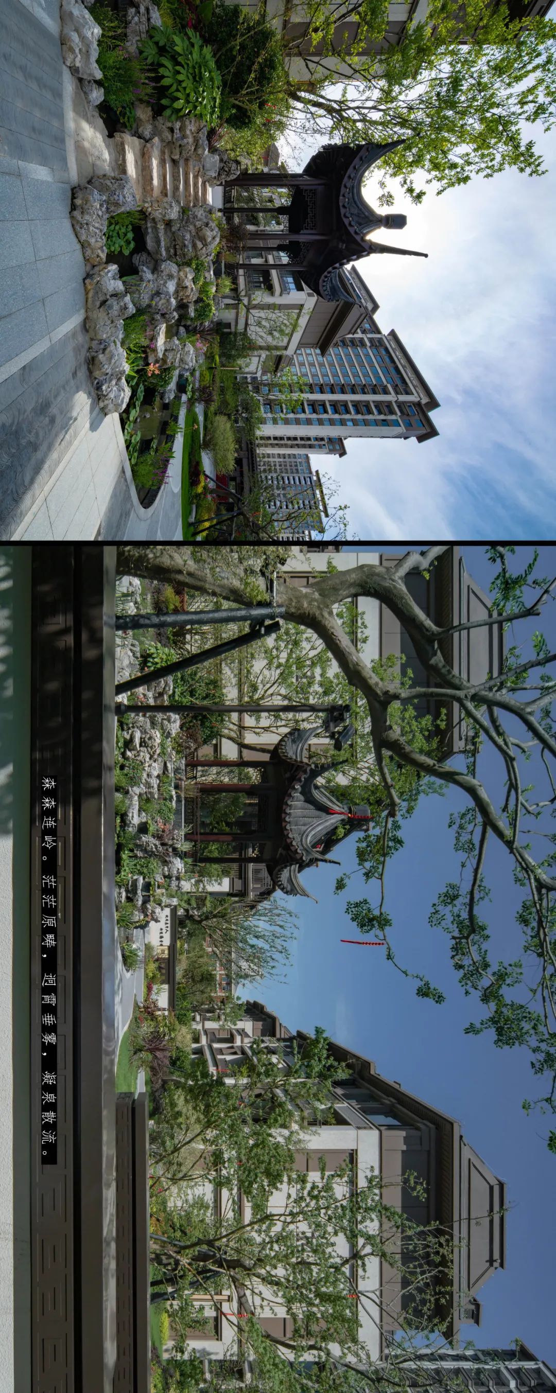 上海建发金玥湾丨中国上海丨LAURENT 罗朗景观,微木花境-17