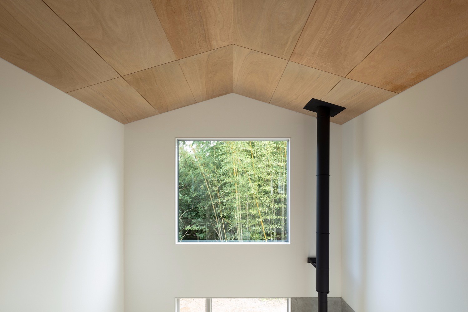 林间溪旁的自然摄影工作室-22