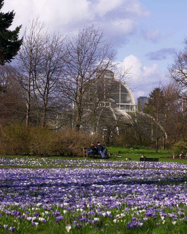 伦敦基尤皇家植物园(Royal Botanic Gardens, Kew )-120