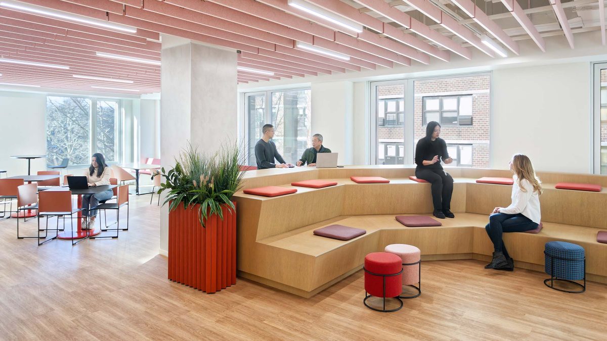 华人策划协会，纽约 -6