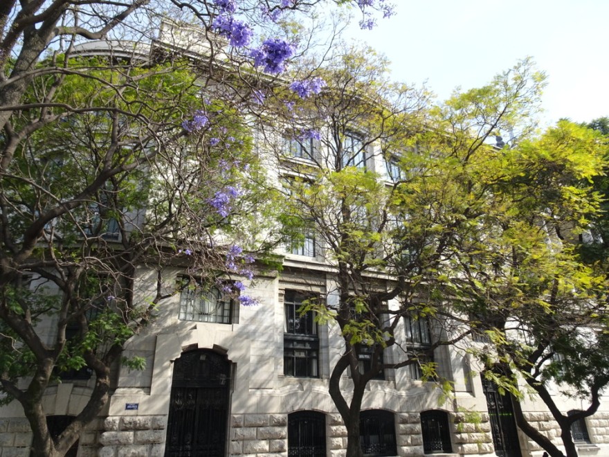 ベジャス・アルテス宮殿 | メキシコ の建築【世界建築巡り】-46