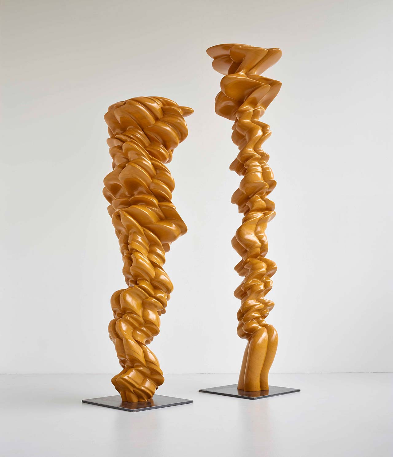 穿越时空的雕塑对话——Tony Cragg 德国个展“不自然选择”-42