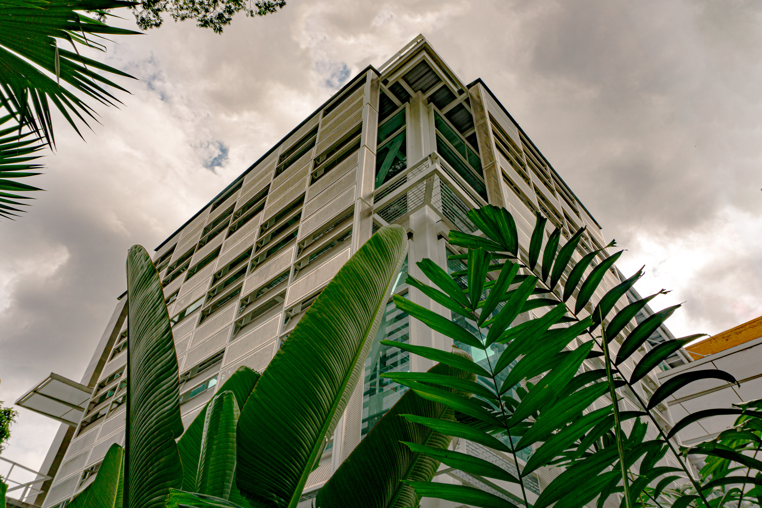 Hidrocaven 扩建项目丨委内瑞拉加拉加斯-65