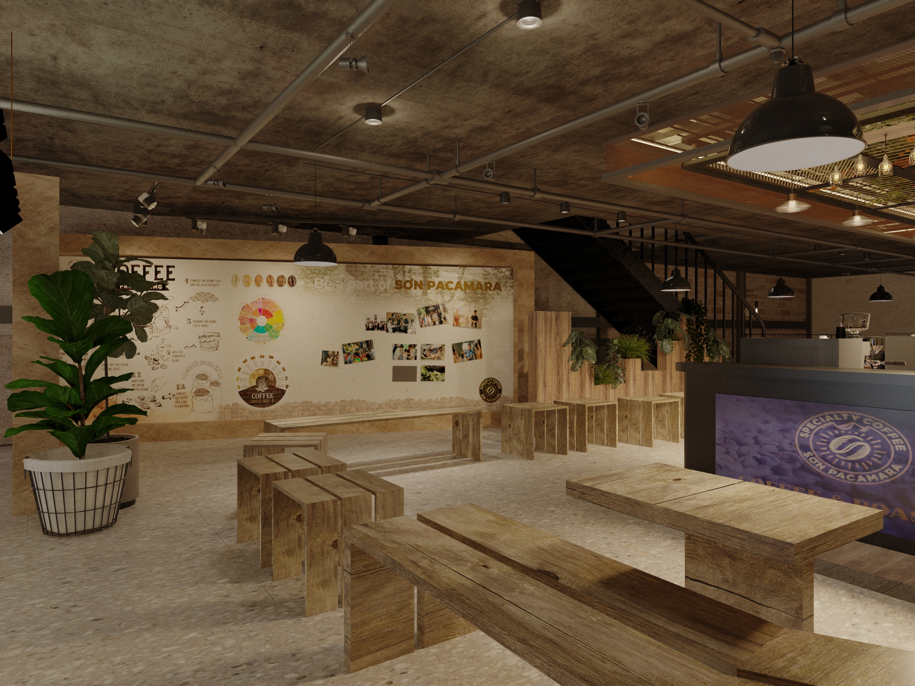 展示店及咖啡烘焙店 Sơn Pacamara 设计项目-19