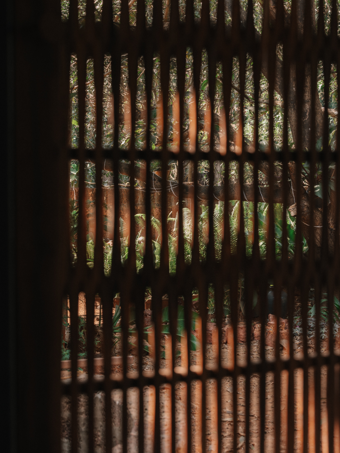 科尔朱埃姆的房子丨Field Atelier-32