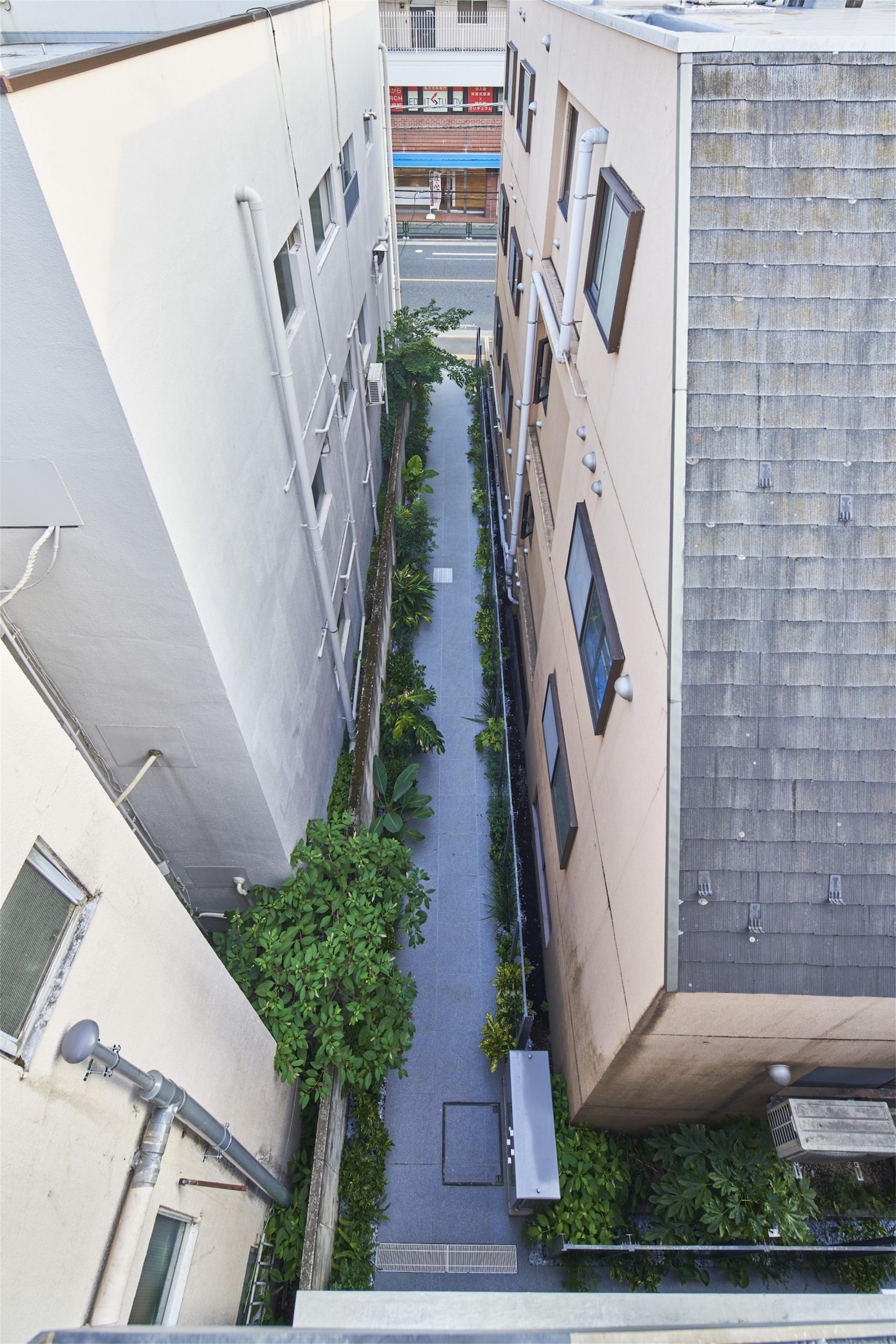 O·建筑丨日本东京丨Yohei Kawashima architects inc.-6