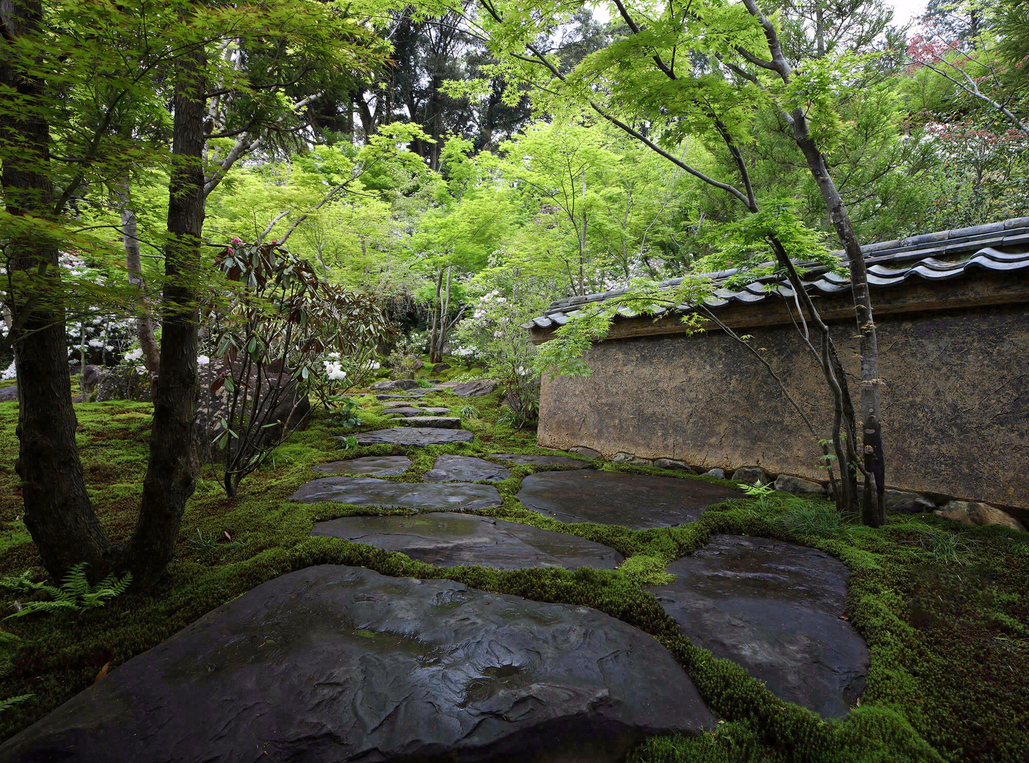 德荣寺 紫音庵丨日本福冈丨Masumi Yanase Architect Office-94