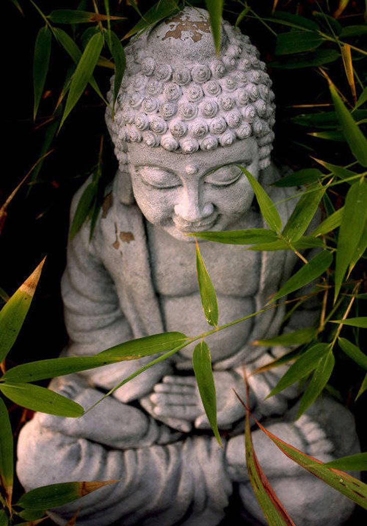 
现代极简中式{禅修} -3