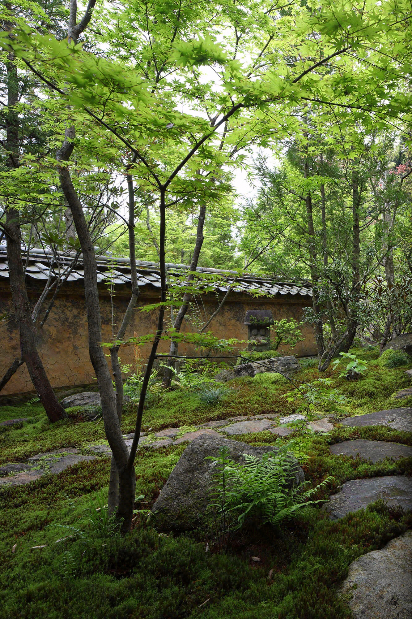 德荣寺 紫音庵丨日本福冈丨Masumi Yanase Architect Office-102