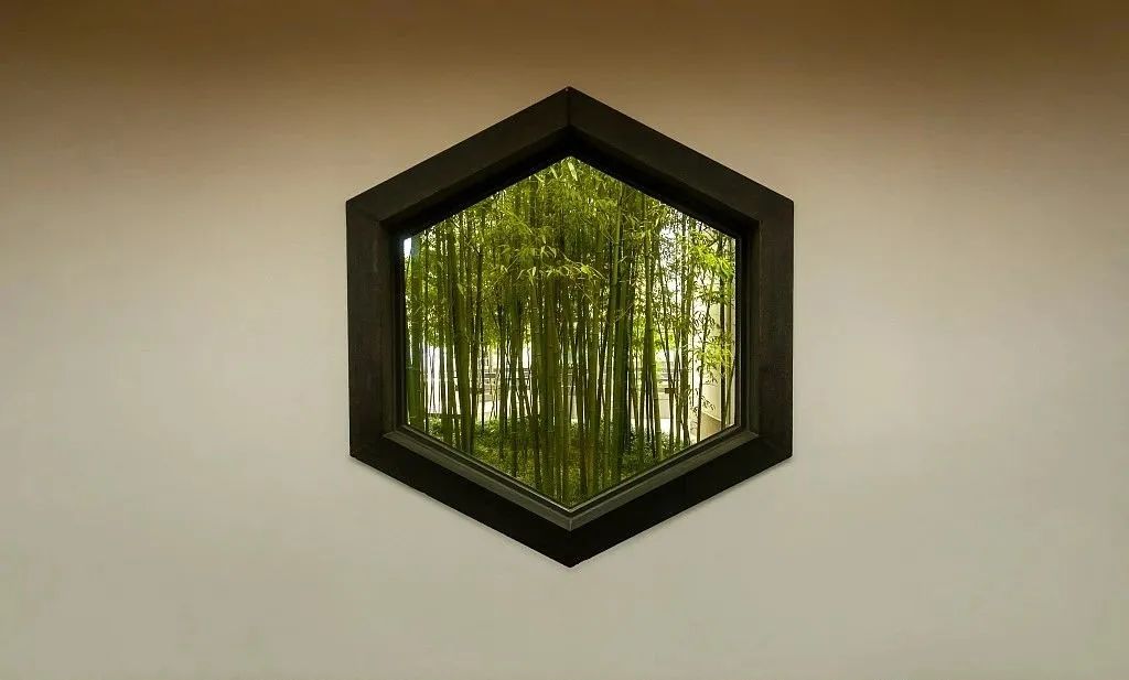 园林文化——寓意解析 | 四君子、花王与雪中四友-82