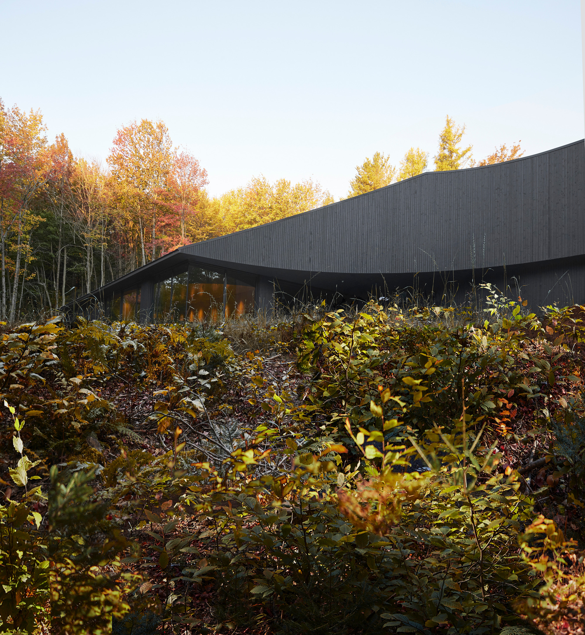 最大经济价值舱丨加拿大丨Studio Jean Verville architectes-33