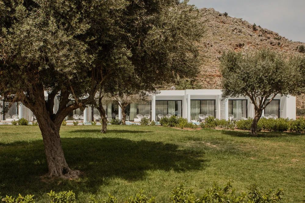 YAPA精品餐厅丨意大利米兰丨Lambs and Lions-341