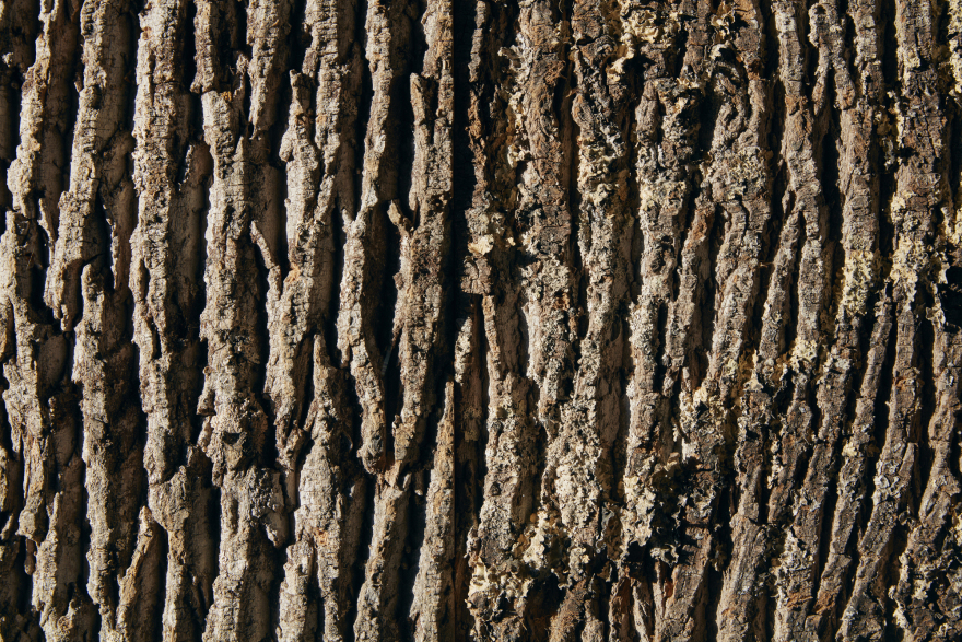 白杨云屋丨美国华盛顿丨BLDUS-31