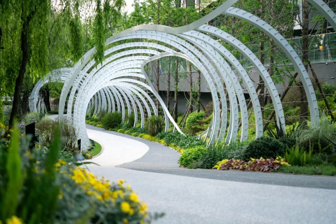 成都麓湖G5滨湖景观改造-13