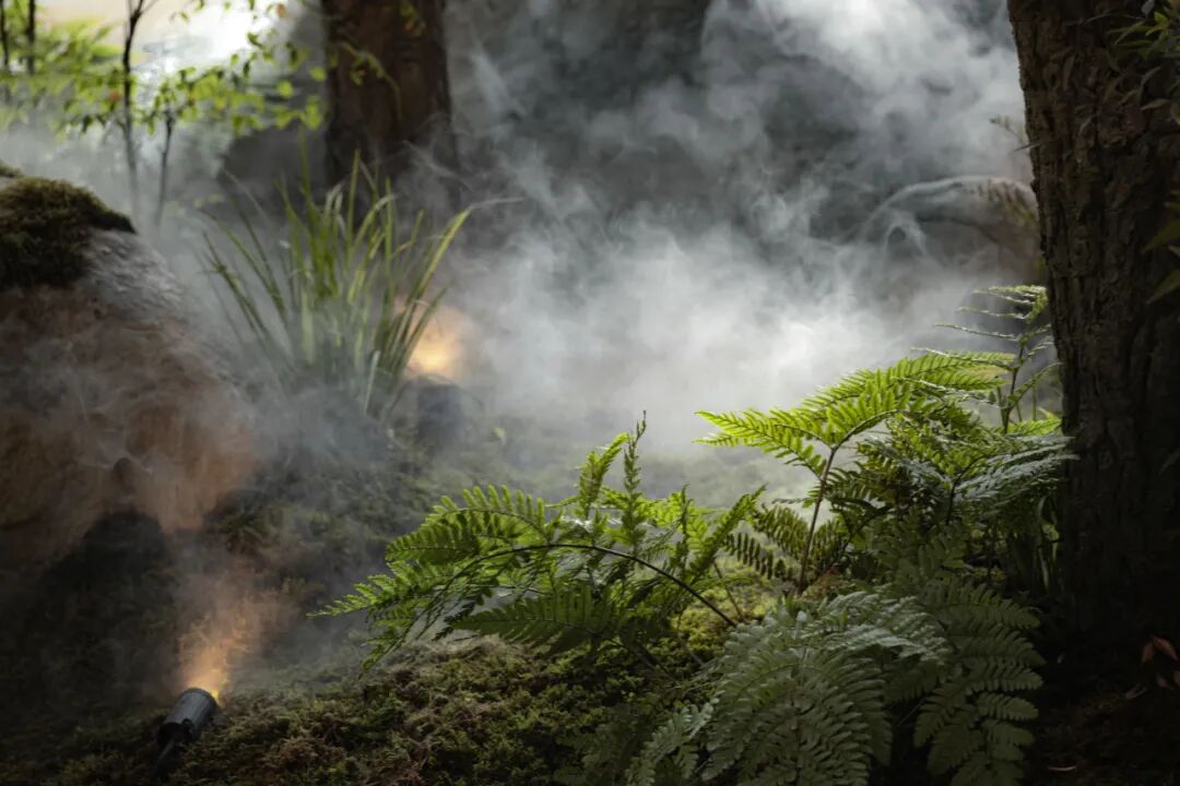 JLC金陵中環|从水墨画境走入自然草木-58