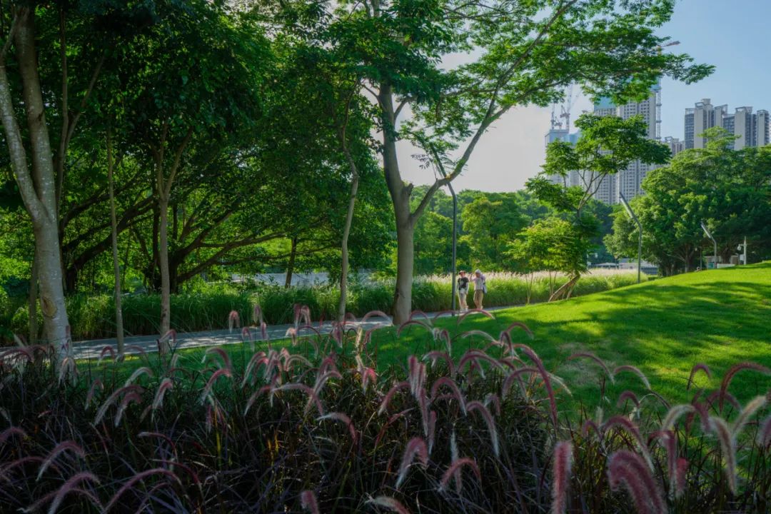摩天都市中的绿色脉搏 | 深圳笔架山体育公园-124