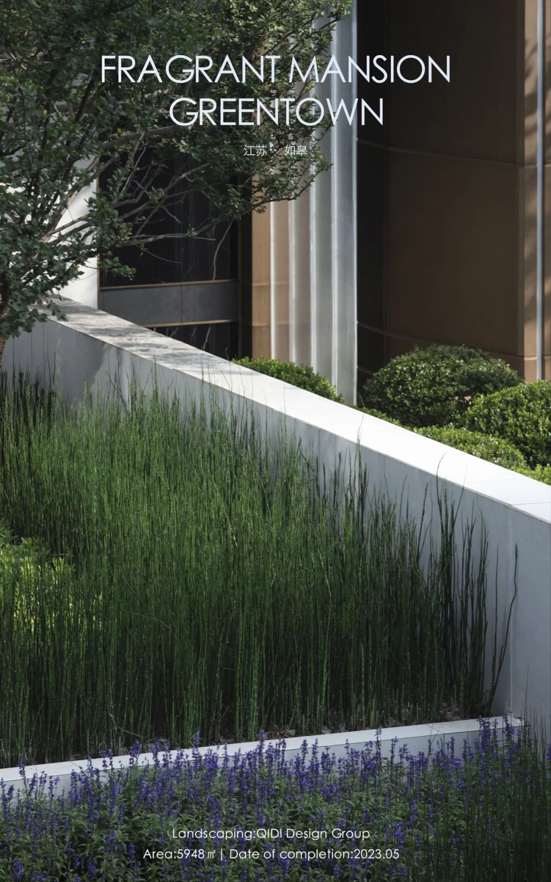 和熙碧影迎明月 | 绿城·沁香园-58