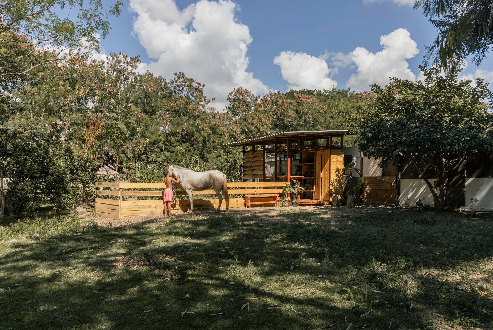 生态箱种子屋丨巴西丨PFLEX  Escola de Arquitetura  UFMG-15