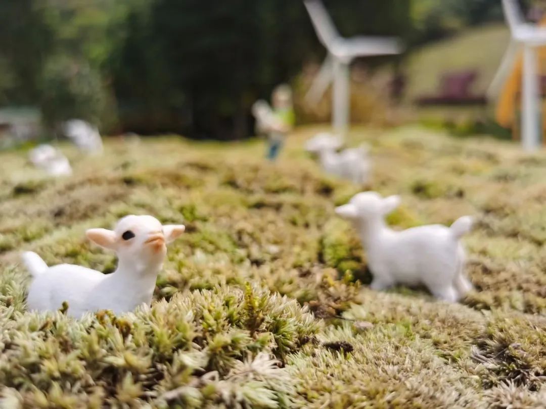 梵高梦花园丨中国深圳丨木杉景观-28