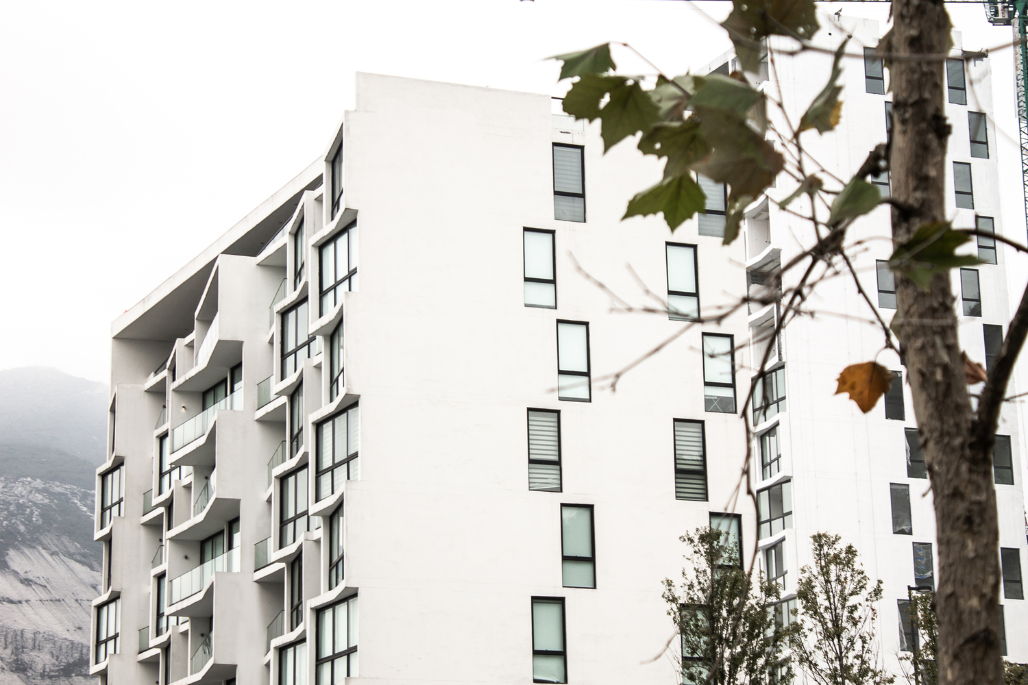 墨西哥蒙特雷绿色宜居 Etherea 大楼-32