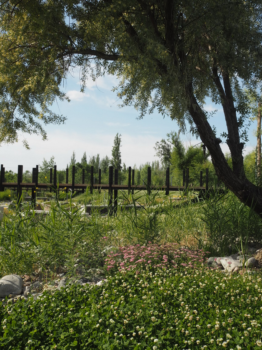 新疆博乐人民公园改造设计（A地块）丨中国新疆丨R  land北京源树景观规划设计事所-87