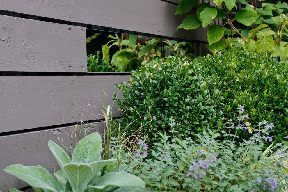 Borough Park Rooftop & Pool-25