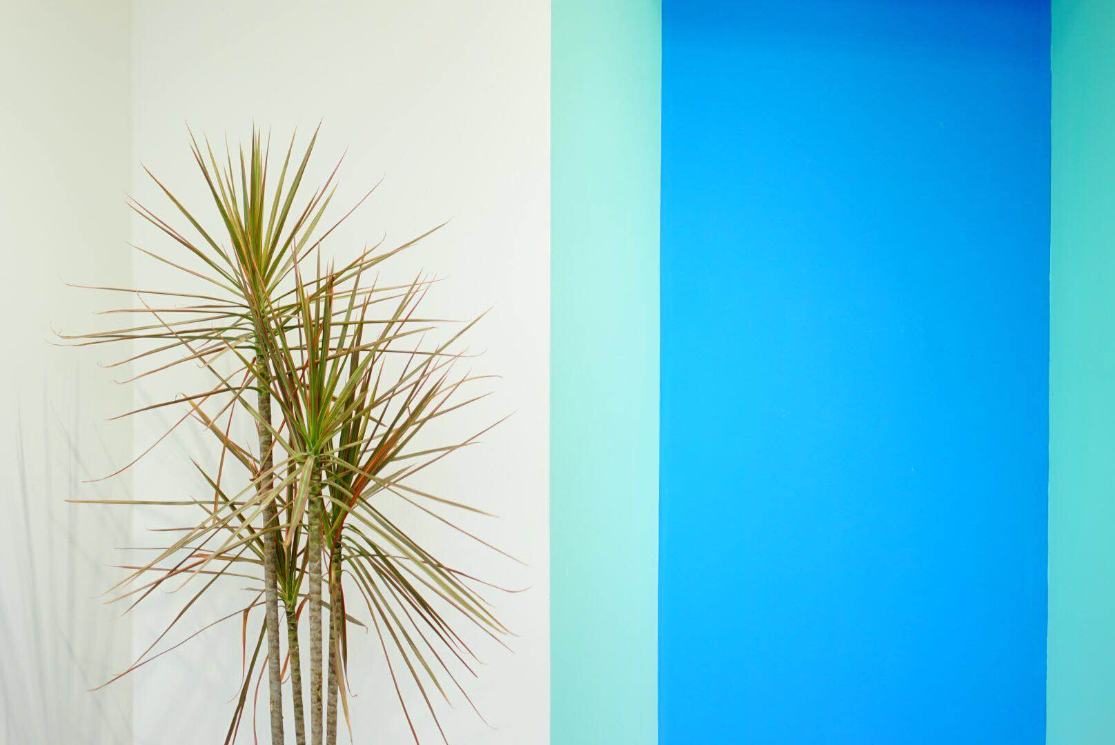 Best & Bestie Will® 全球设计师集合概念店-41