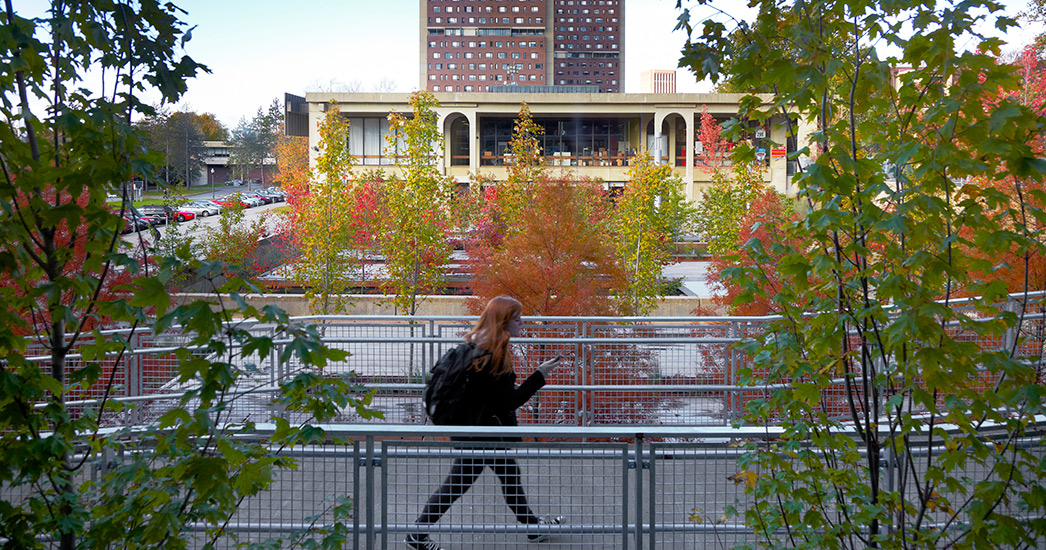 马萨诸塞西南大道改造丨意大利马萨-7