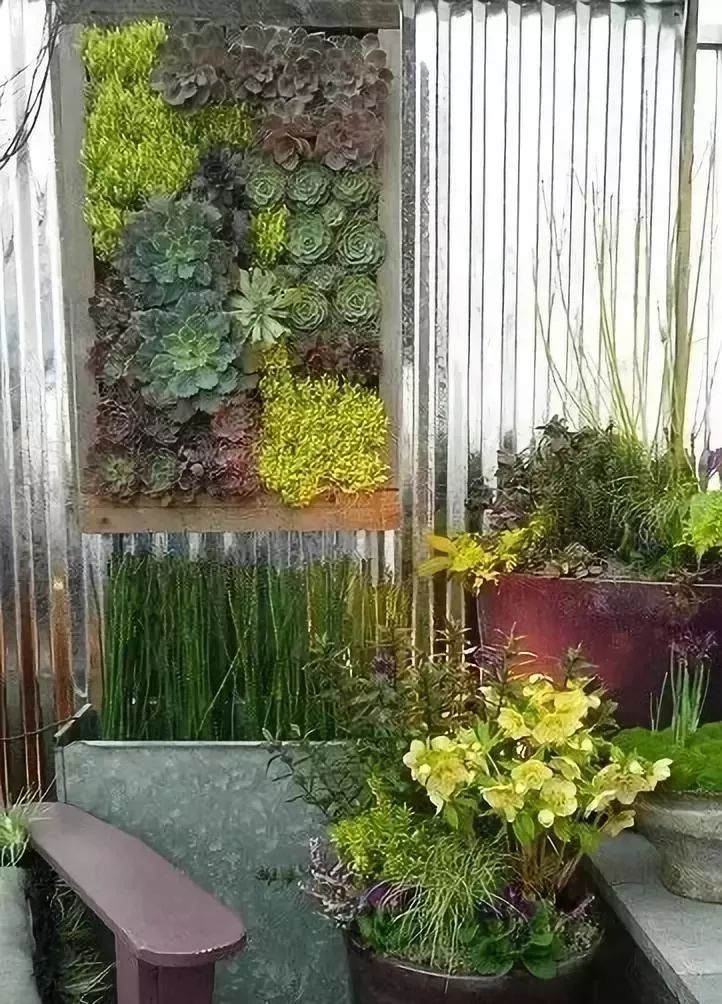 创意多肉墙 | 绿色装饰的艺术魅力-8