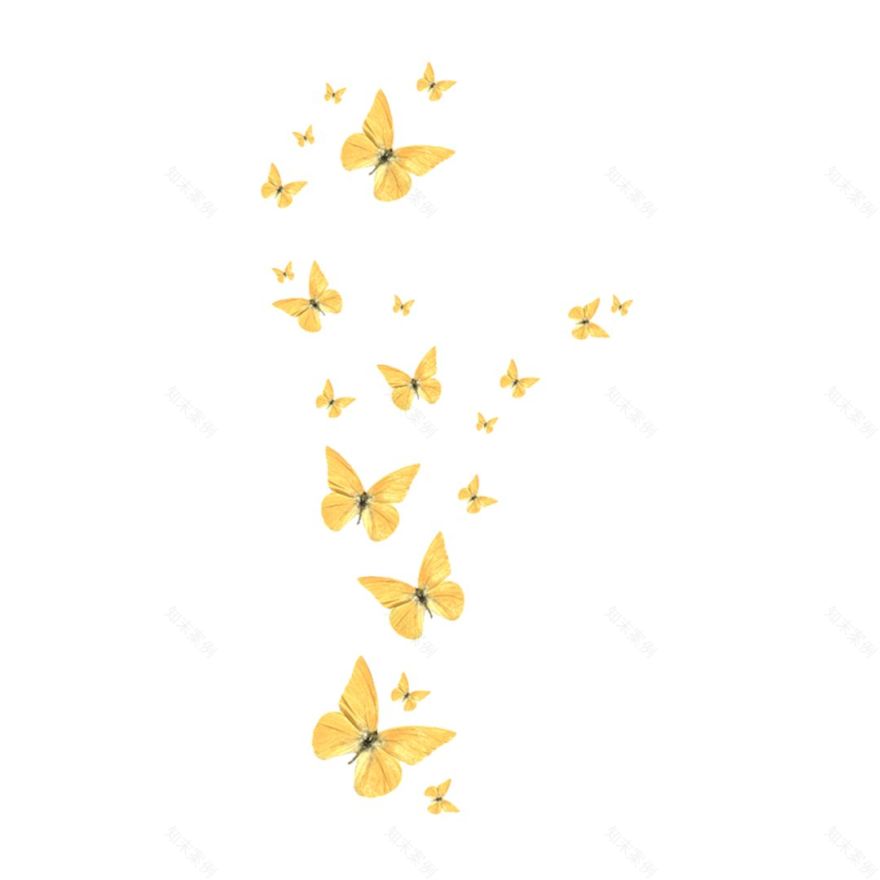 中国最大、最靓的“蝴蝶”惊现广西柳州!-76