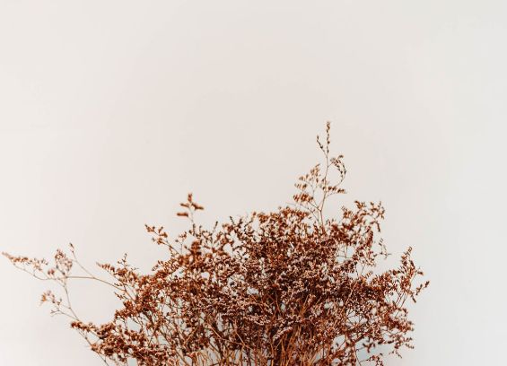 【嘉品新作】500m²别墅汀枫渡的禅意人生。-4