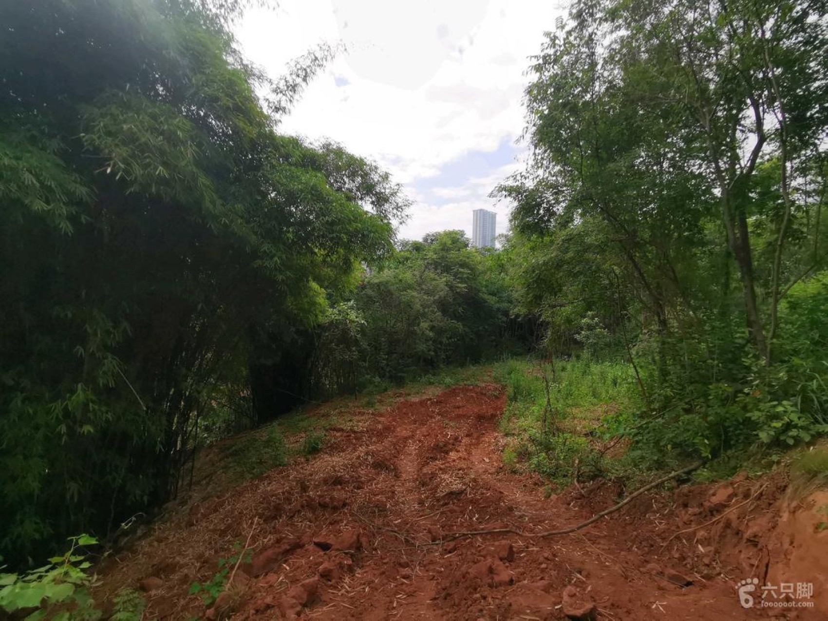 麓野公园丨中国成都丨四川乐道景观设计有限公司-217