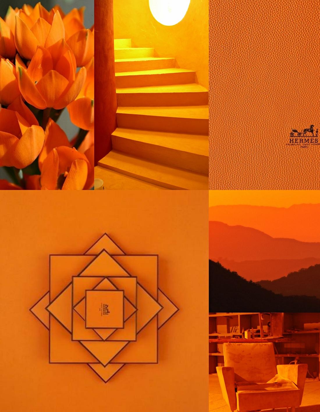 爱马仕橙碰撞 IT 精英,现代简约风平层设计-5