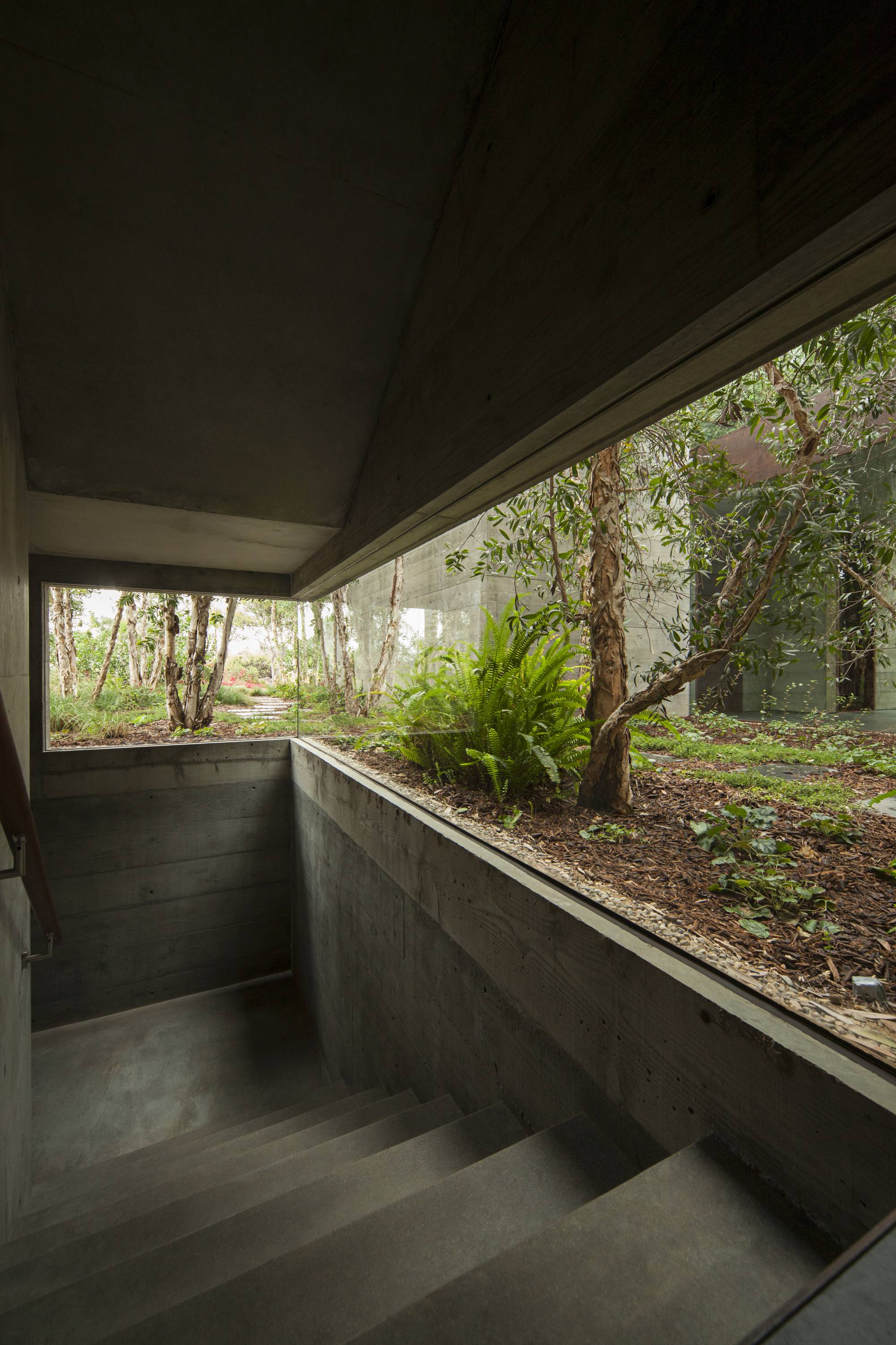 绿意掩映的静谧空间——Phoenix House-7