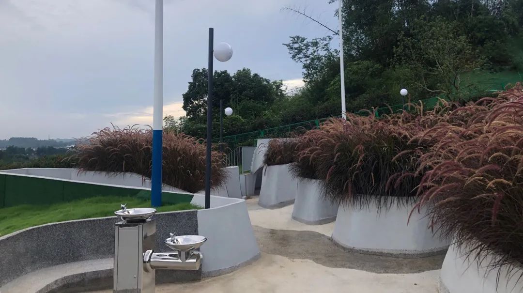 阿飞森林主题乐园 | 种子生长之旅的室内设计亮点-18