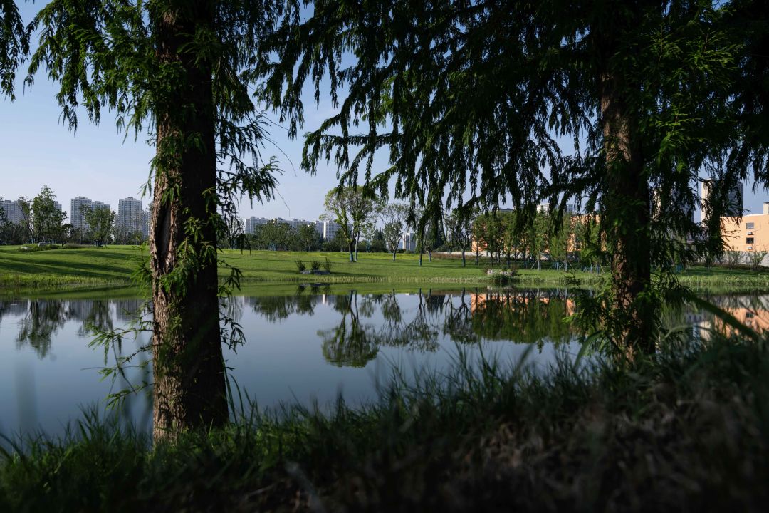 从繁华渔港到生态胜地，重构太湖周边生态面貌 | 太湖流域小溪港鱼咀公园-24