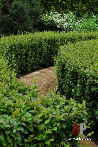 带草坪的公园景观设计（浪漫公园带草坪）丨俄罗斯莫斯科丨IL NATURE-38