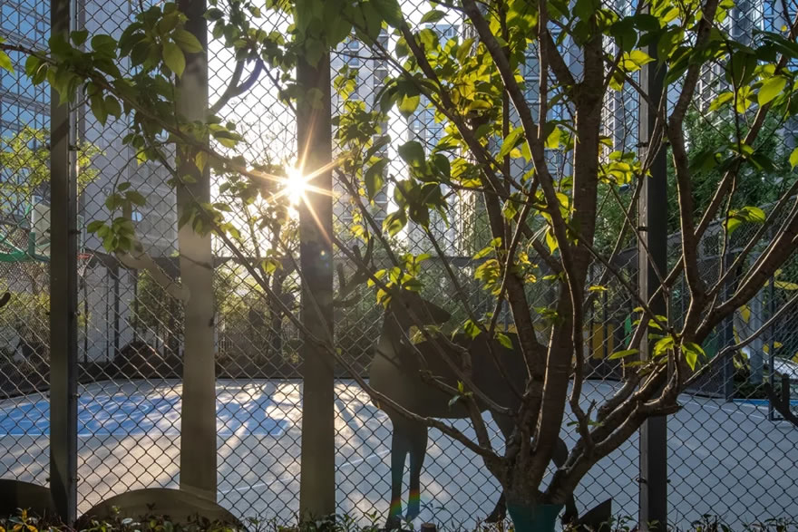 旭辉·尚都会新座大区丨中国杭州-31