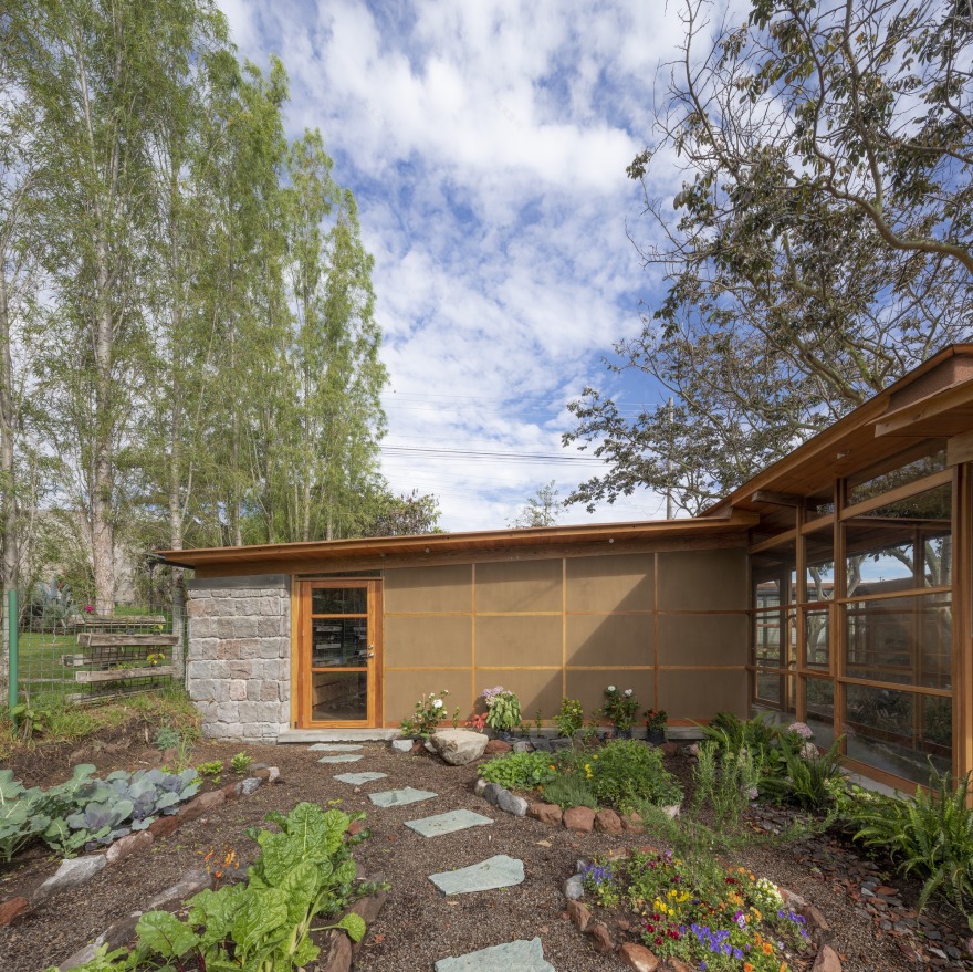 House Among Trees / El Sindicato Arquitectura-34